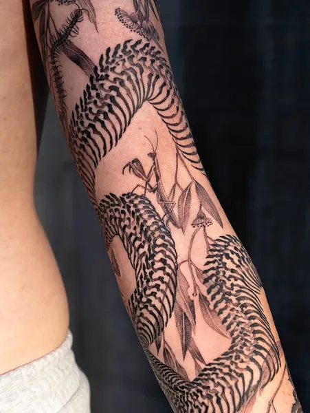 Dragon