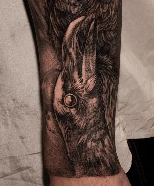 Animal