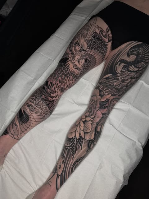 Dragon, Animal