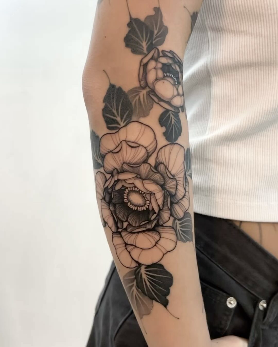 Flower, Rose, Nature