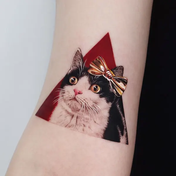 고양이