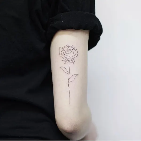 Flower, Rose