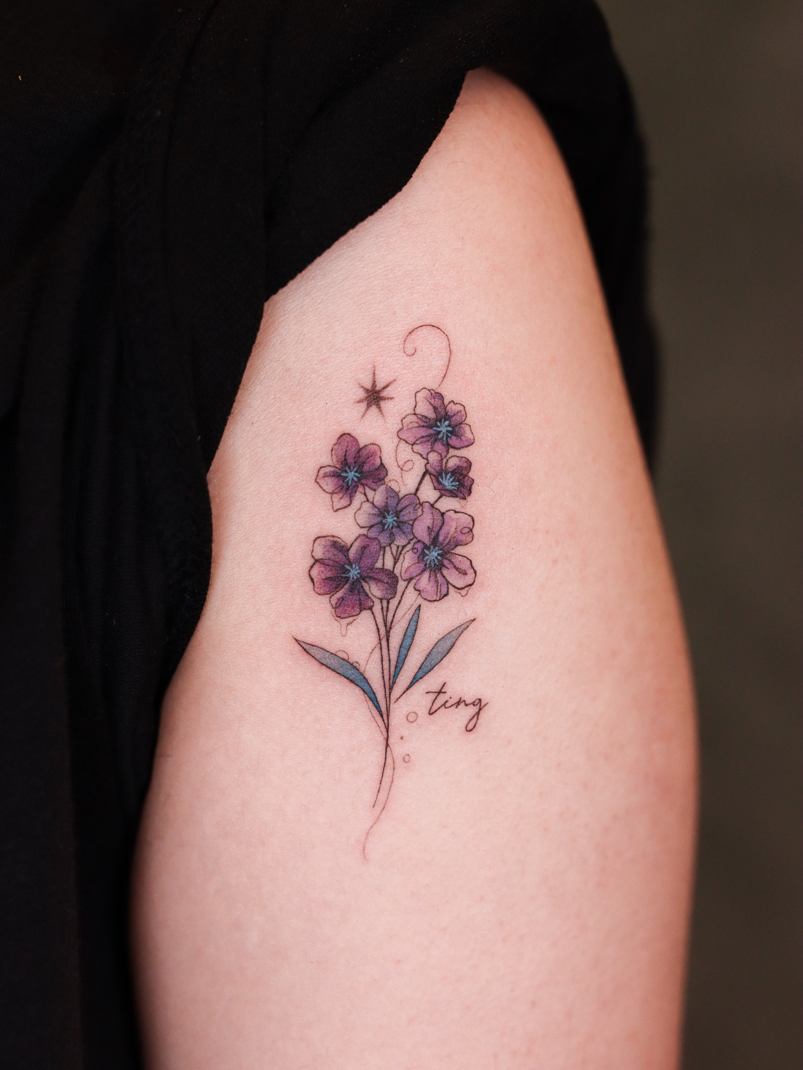 Flower, Rose