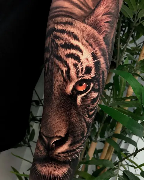 Tiger, 중국 호랑이, 한국 호랑이