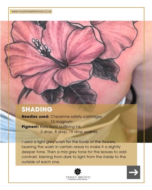 Flower, Nature, Rose
