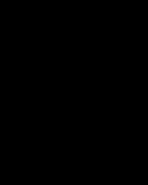 dinokimx
