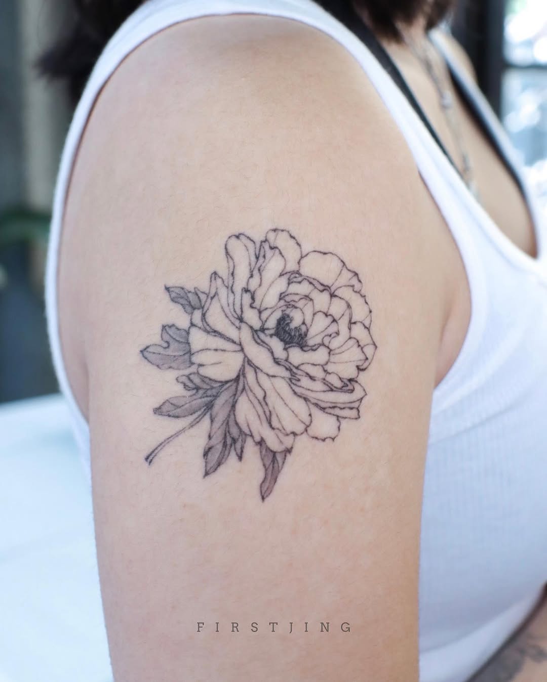 Rose, Nature, Flower