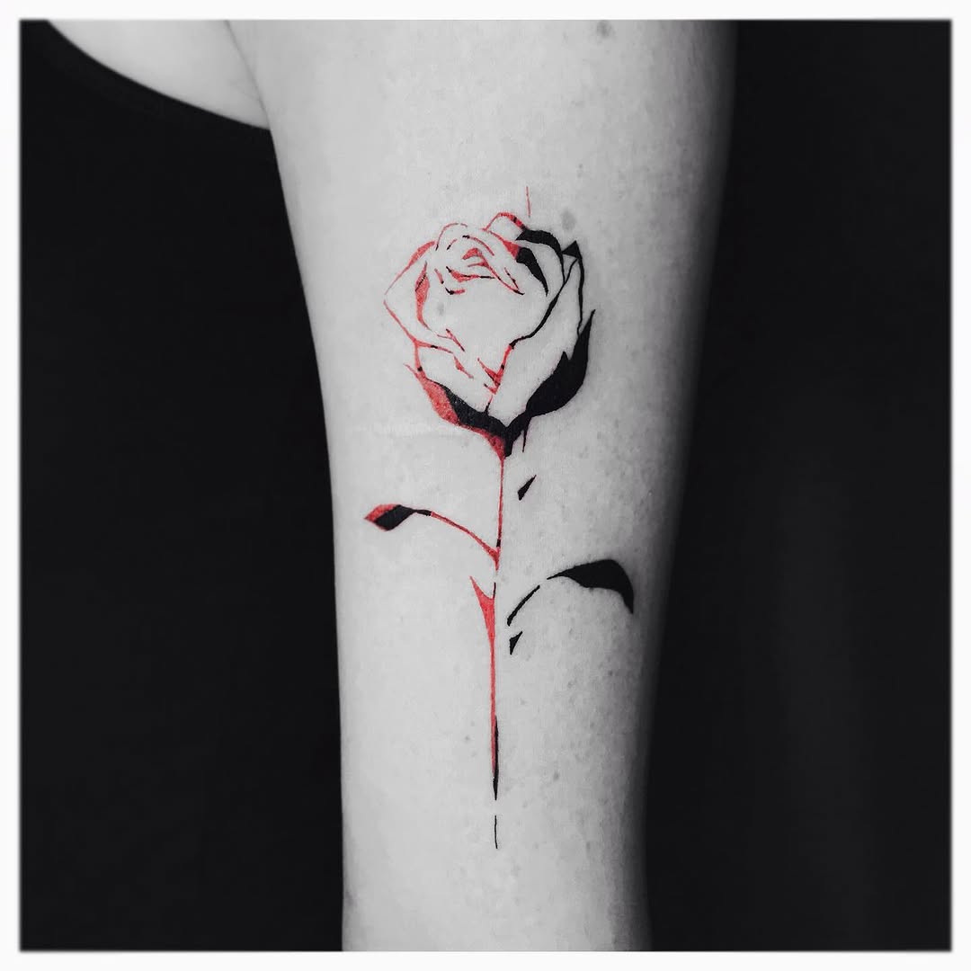 Flower, Rose, Nature