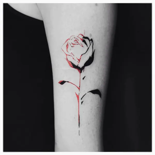Flower, Rose, Nature