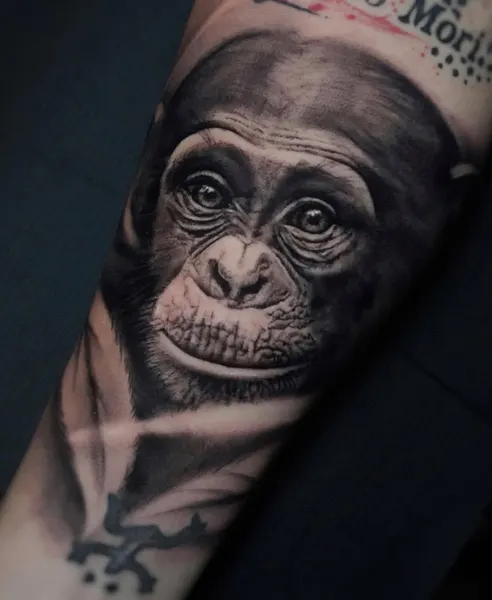 Animal, Tiger