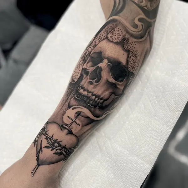 뼈, Skull