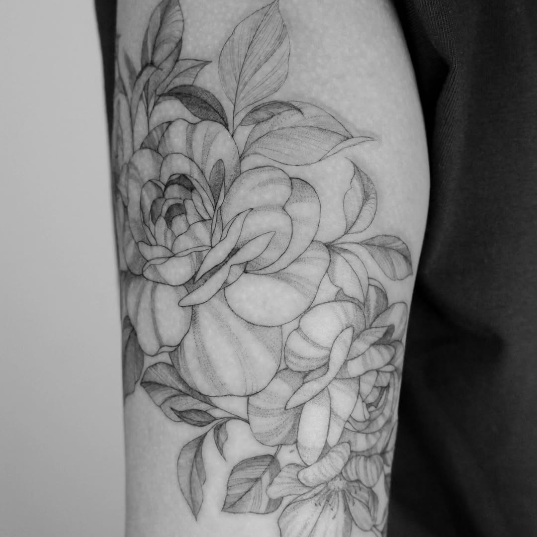 Flower, Rose, Nature