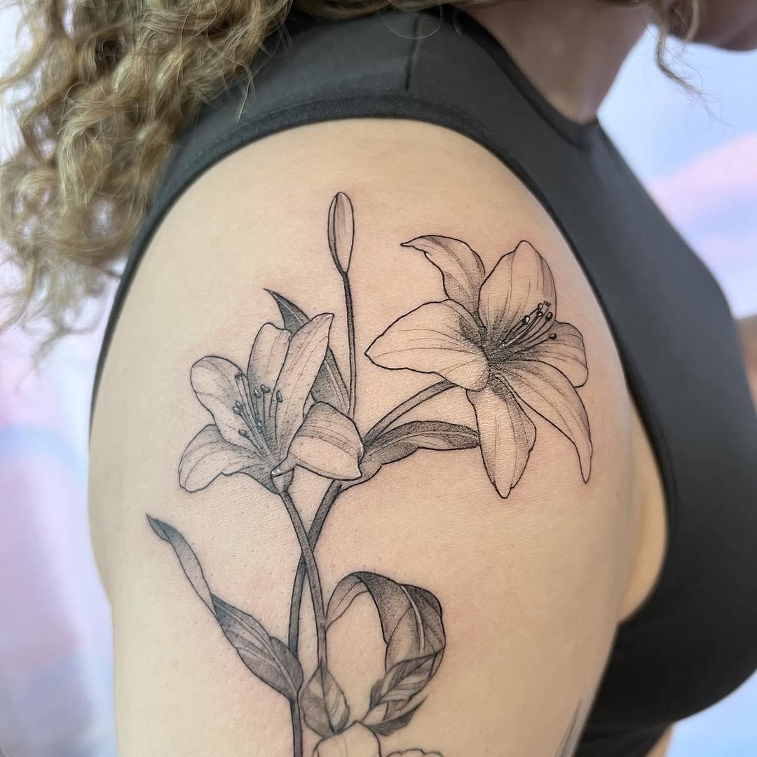 백합, Flower