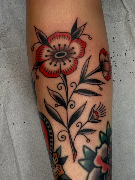 Flower, Rose