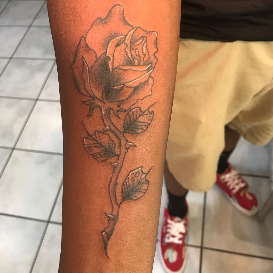 Flower, Rose