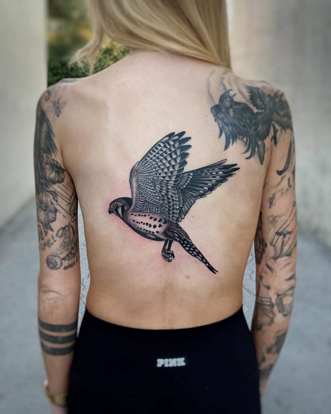 Animal