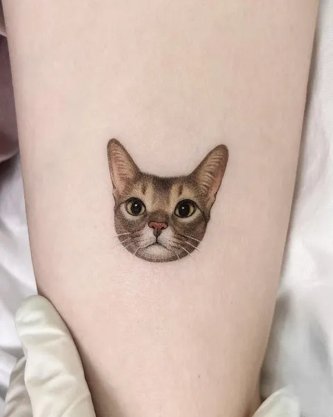 고양이