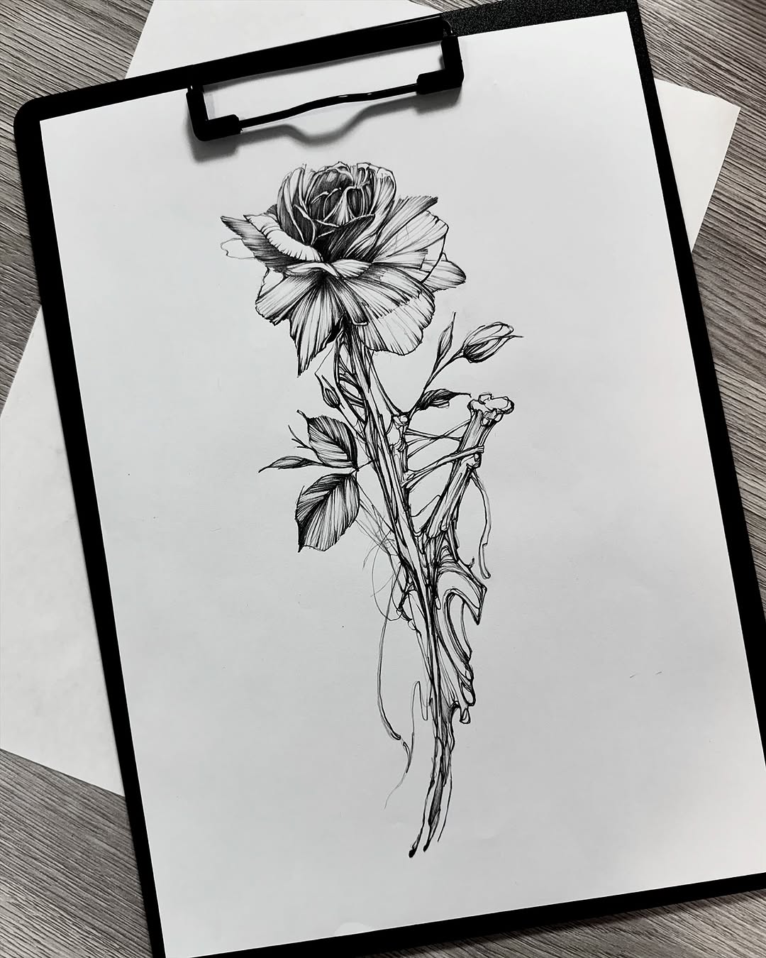 Flower, Rose