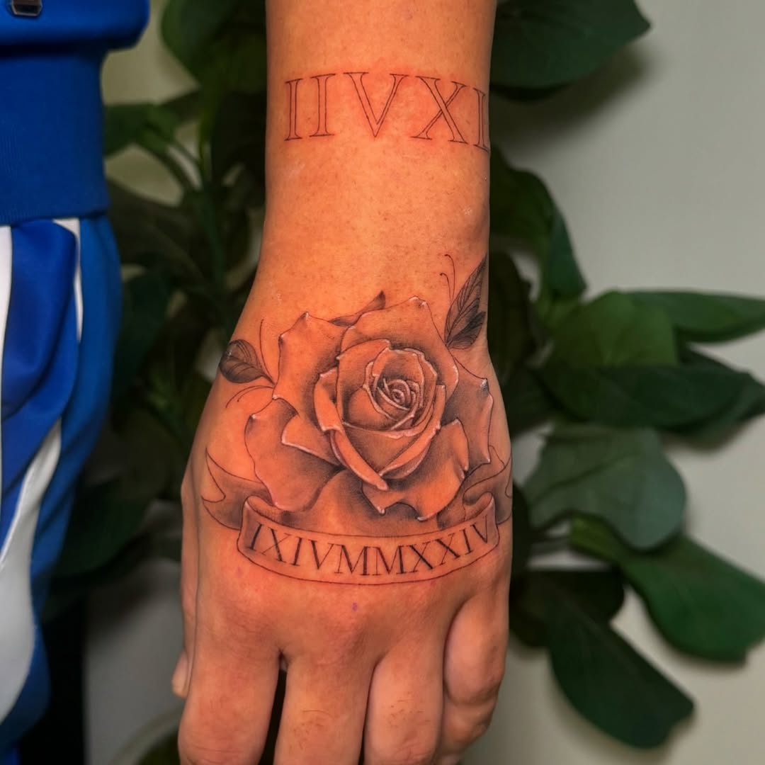 Flower, Rose
