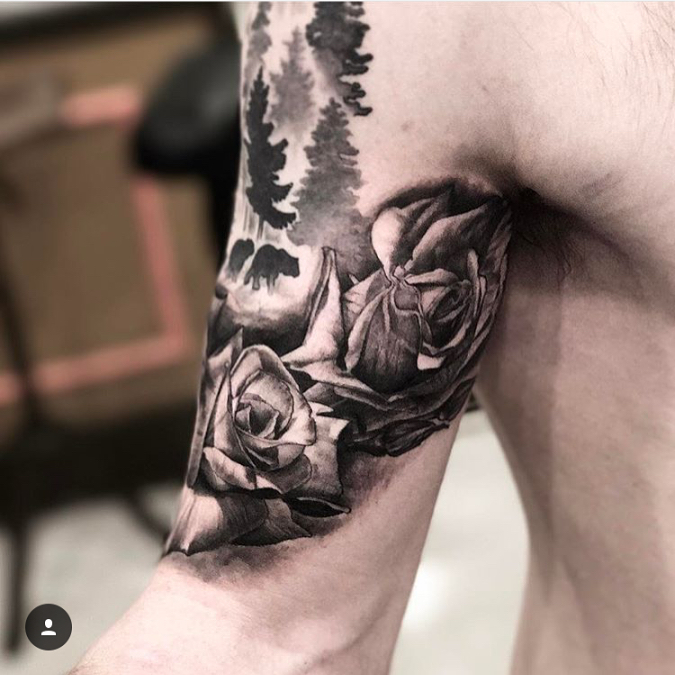 Flower, Rose, Nature