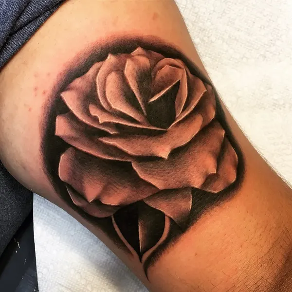 Flower, Rose