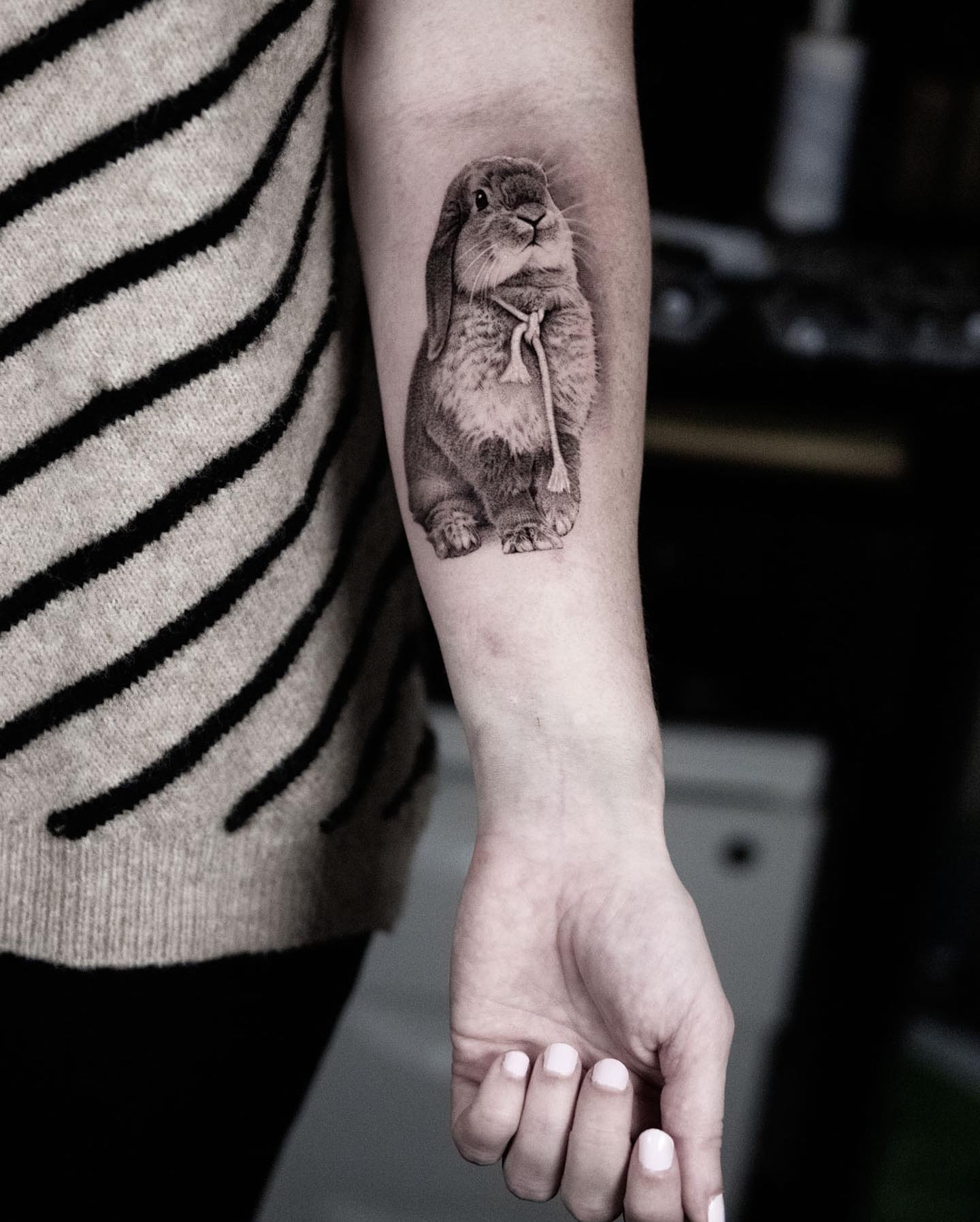 Animal, 토끼