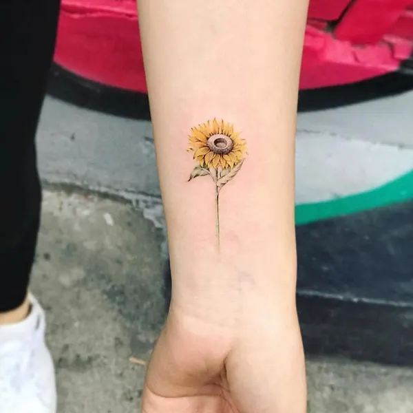 Flower, 해바라기, Mini, 데이지, 민들레, 수선화