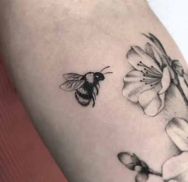Animal, Flower