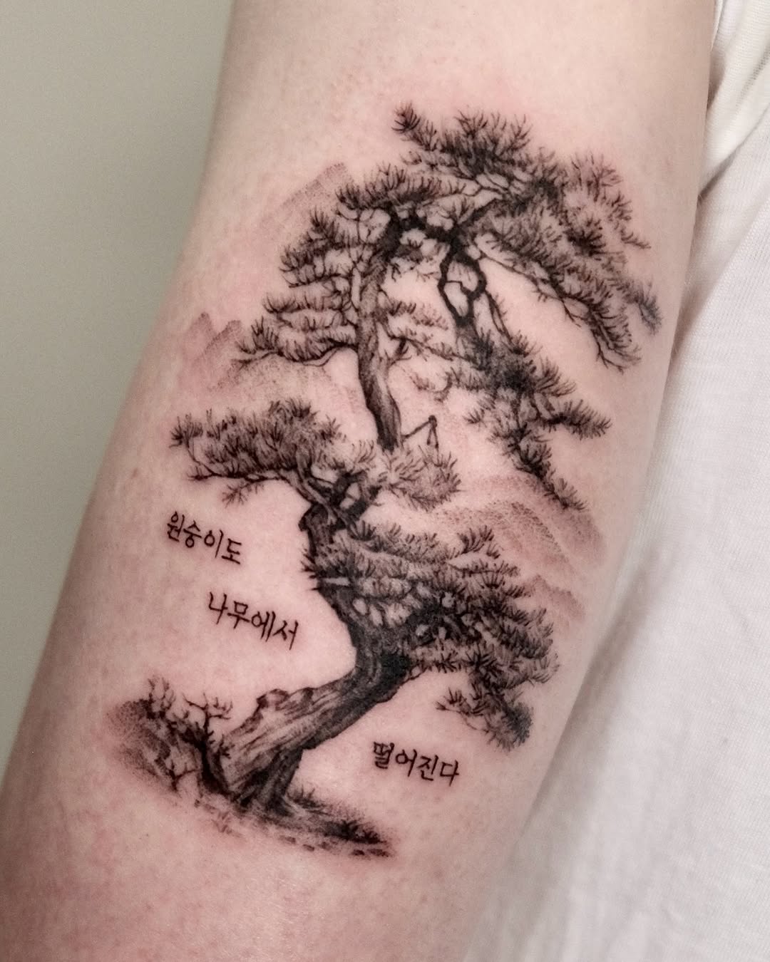 40.tatt