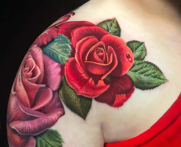 Flower, Nature, Rose