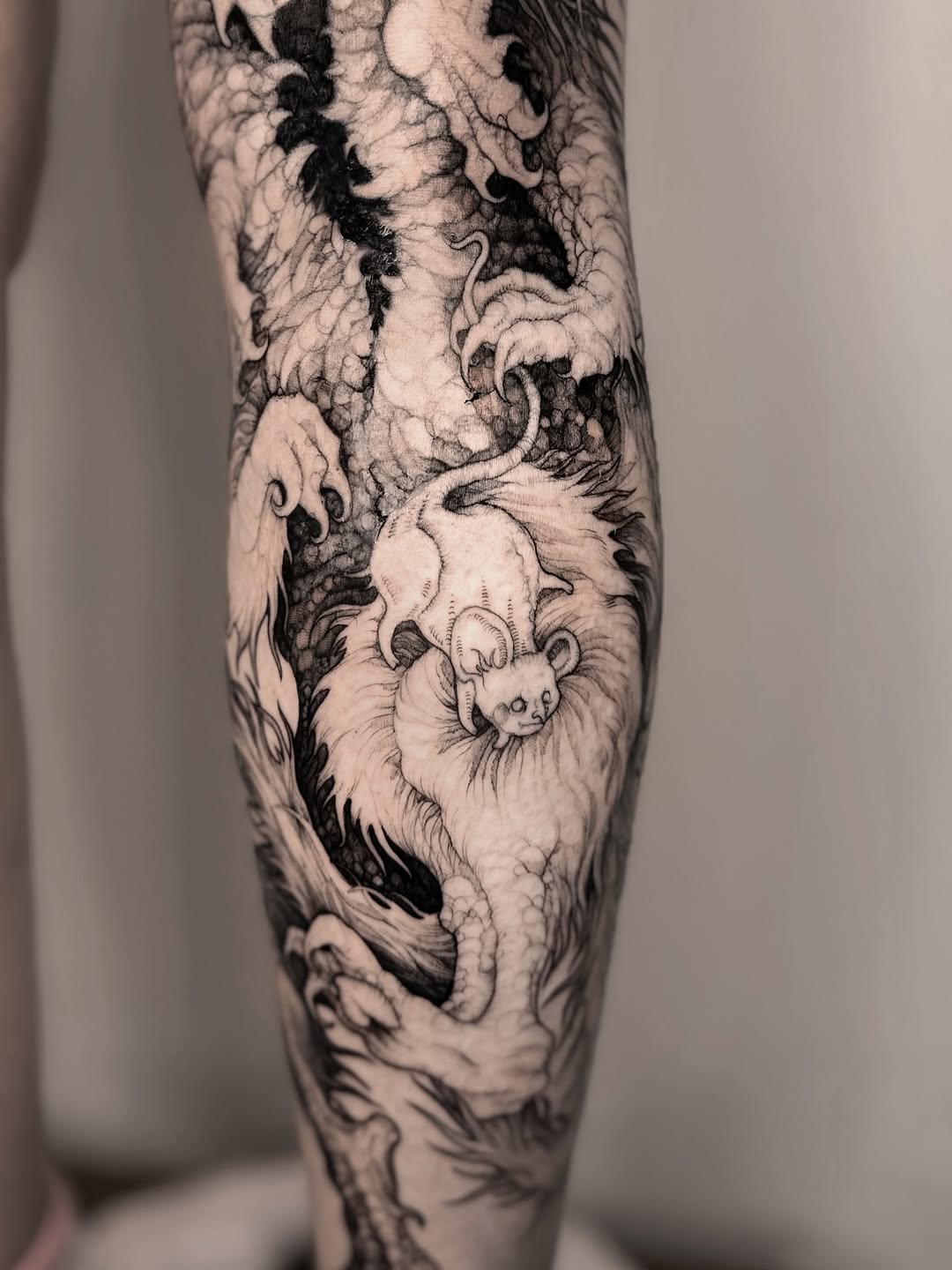 Dragon