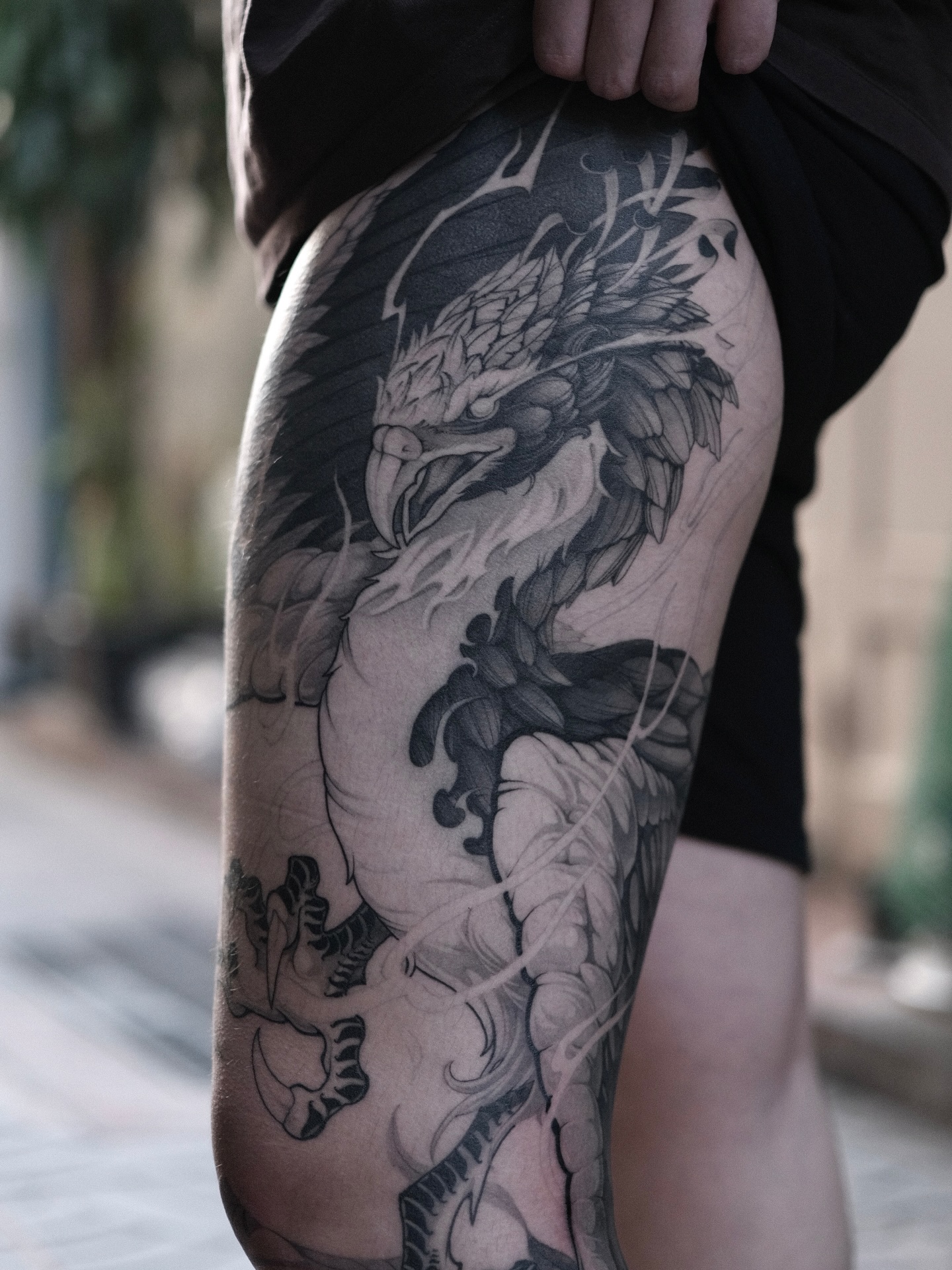 Dragon
