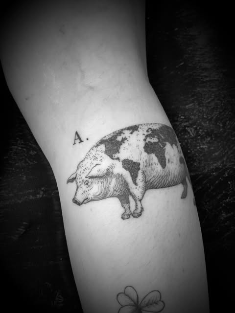 Animal, 돼지