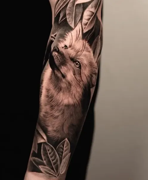 Animal