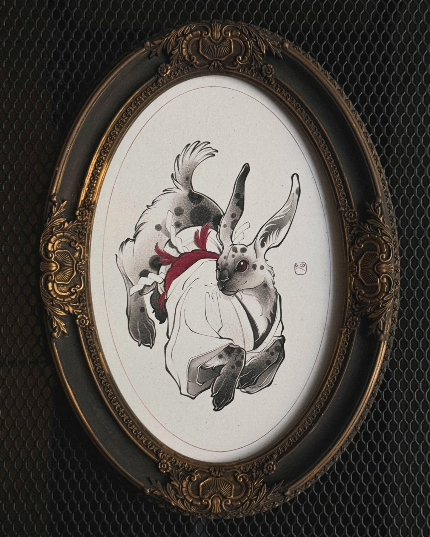 Animal, 토끼