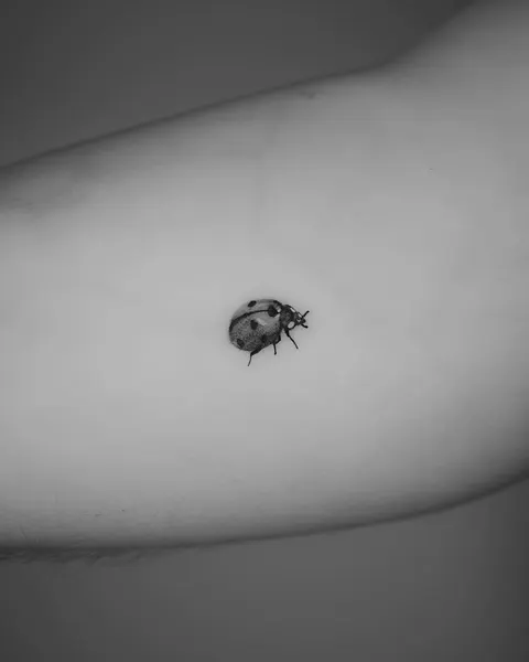 Mini, Animal