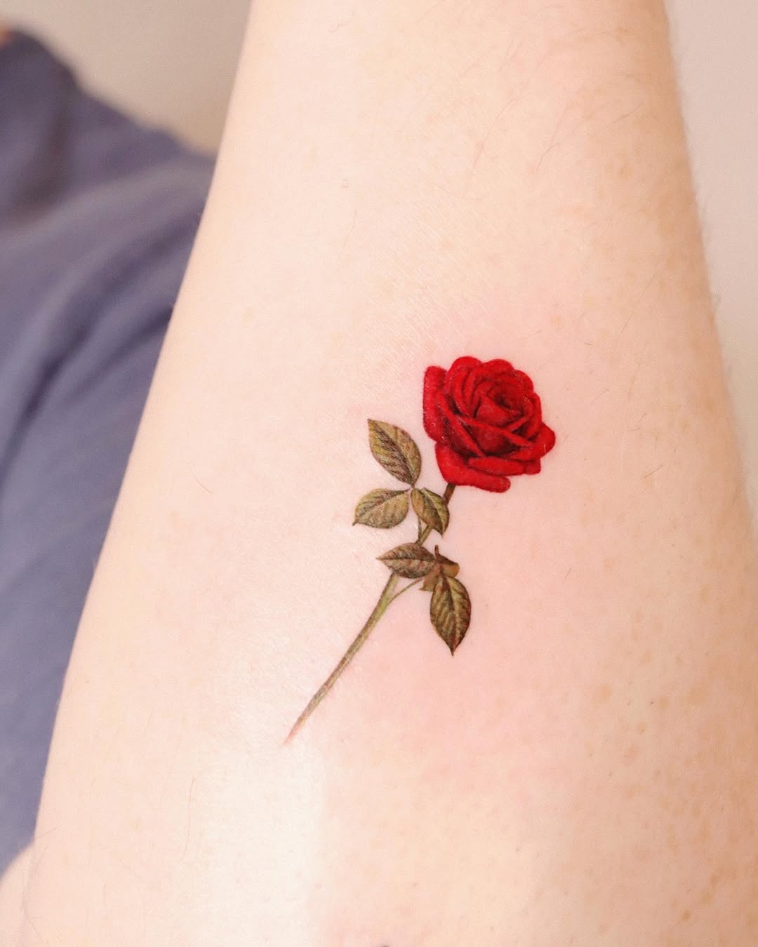 Flower, Rose