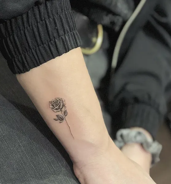 Flower, Rose