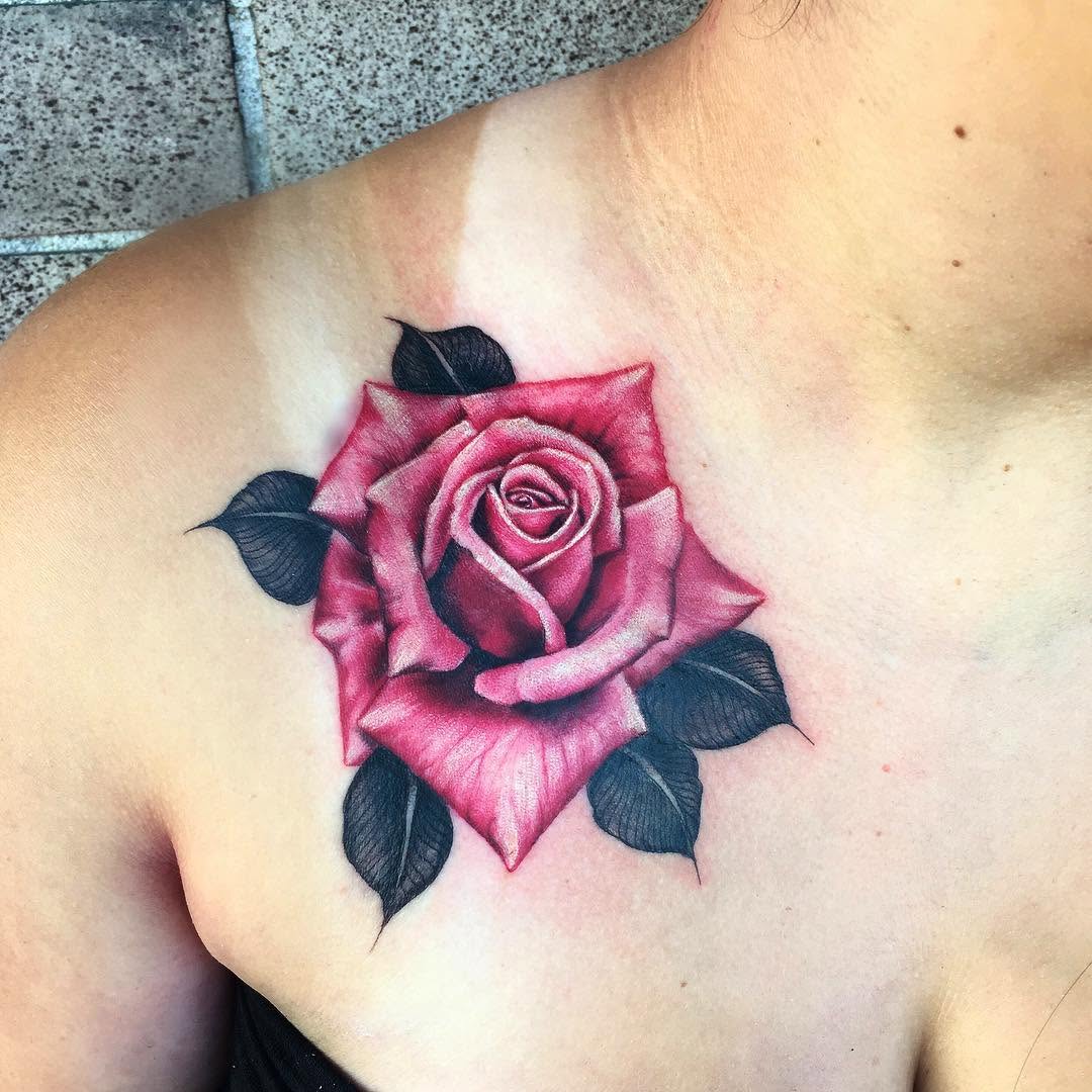 Flower, Rose, Nature