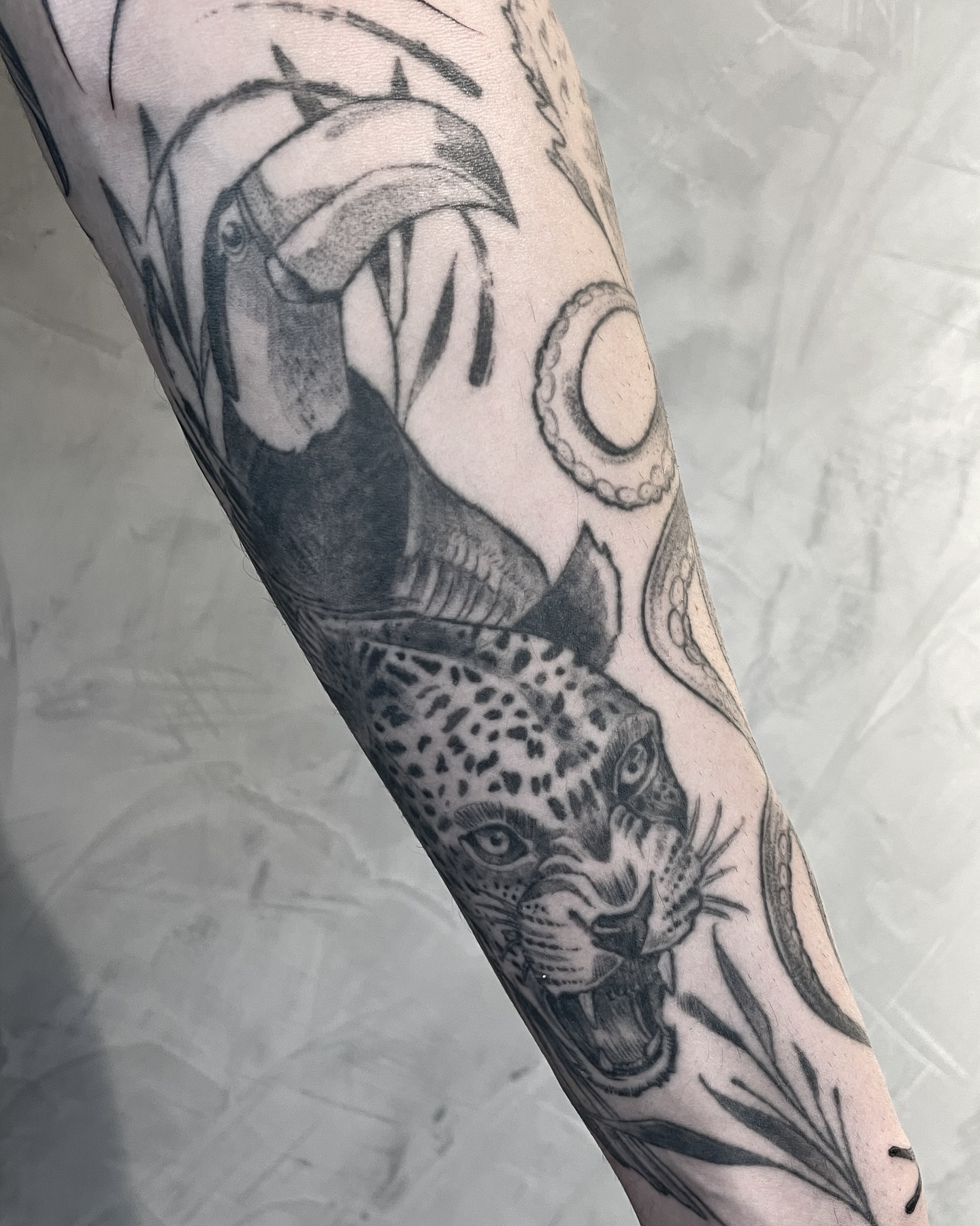 leo_marsiglia