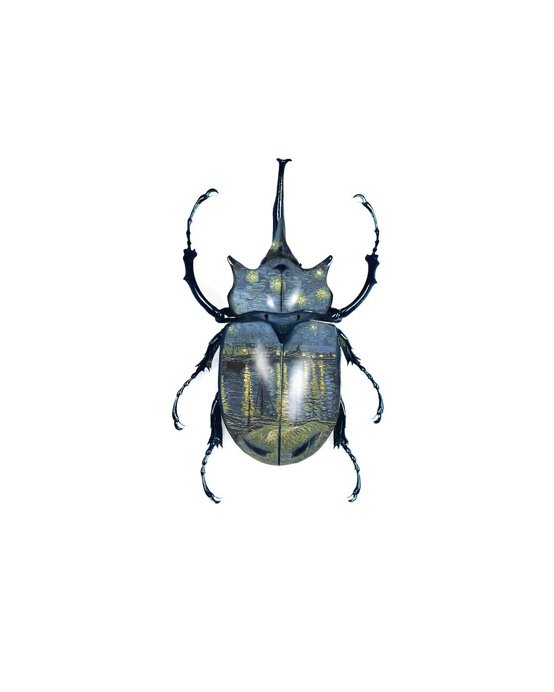 caotida