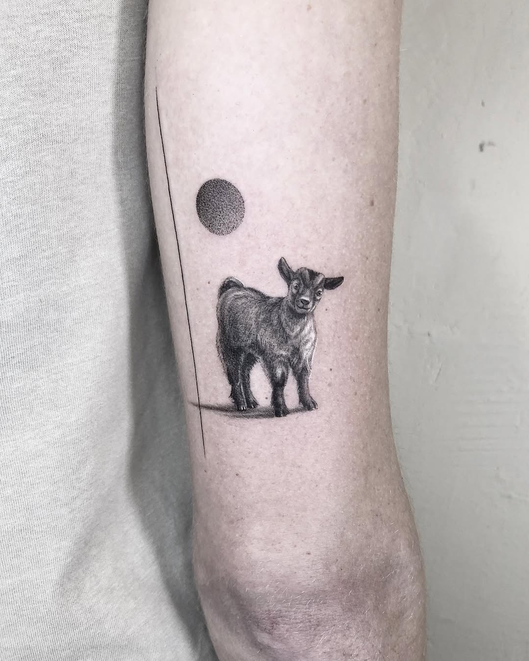 소, 염소, 양자리, Animal