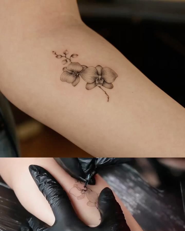 hill.inkk