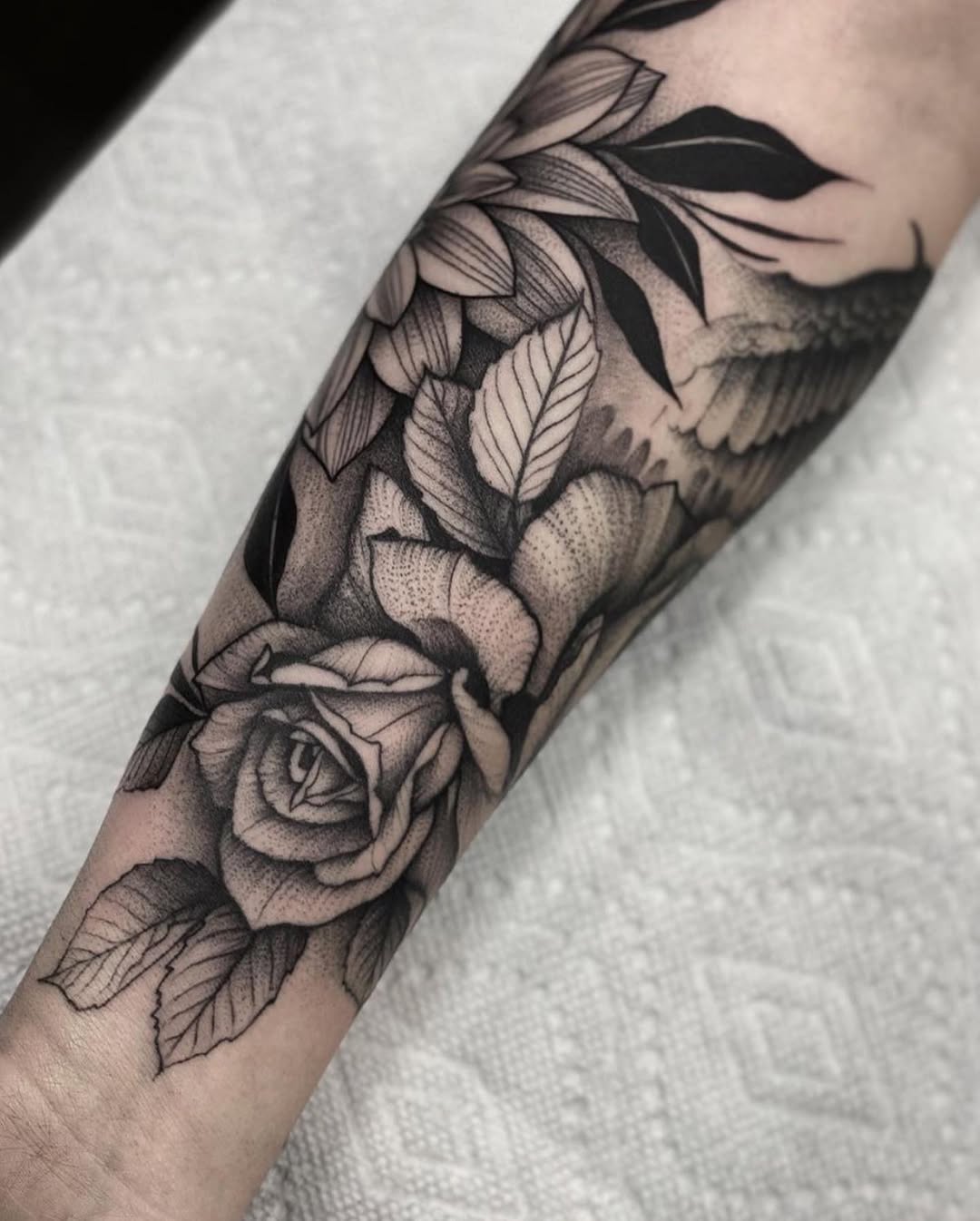 Flower, Rose