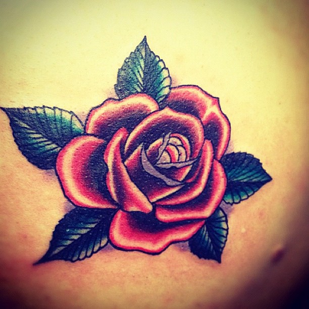 Flower, Rose, Nature