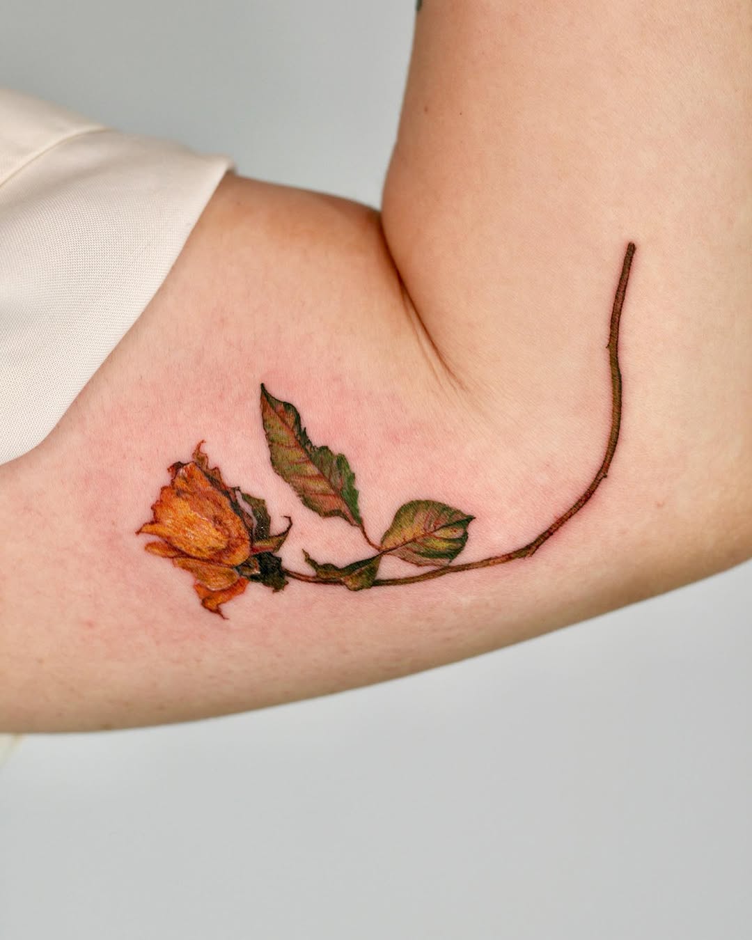 Flower, Rose