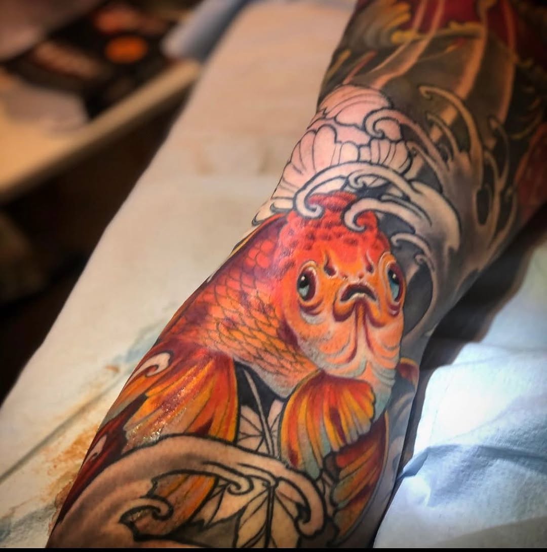 Animal