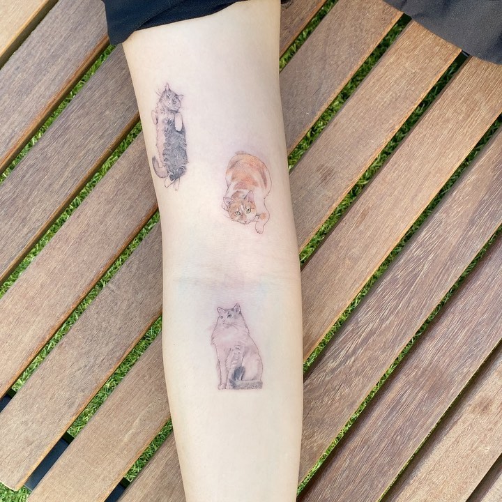 soltattoo