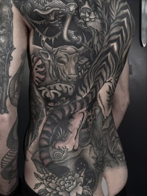 Tiger