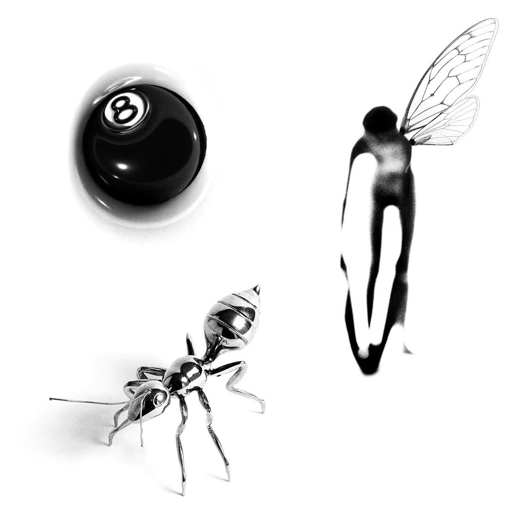 plantsnpokes